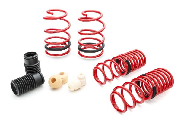 Eibach Springs - Eibach Springs SPORTLINE Kit (Set of 4 Springs) 4.10135 - Image 1