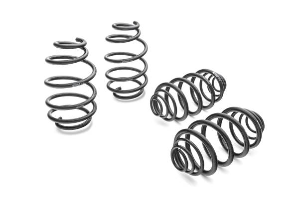 Eibach Springs - Eibach Springs PRO-KIT Performance Springs (Set of 4 Springs) 38149.140 - Image 1