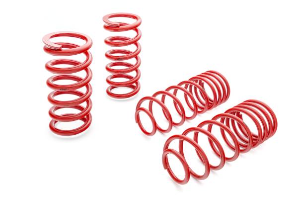 Eibach Springs - Eibach Springs SPORTLINE Kit (Set of 4 Springs) 4.0138 - Image 1