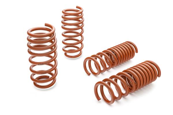 Eibach Springs - Eibach Springs SPORTLINE Kit (Set of 4 Springs) 4.10528 - Image 1