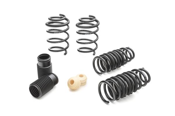 Eibach Springs - Eibach Springs PRO-KIT Performance Springs (Set of 4 Springs) 4244.140 - Image 1