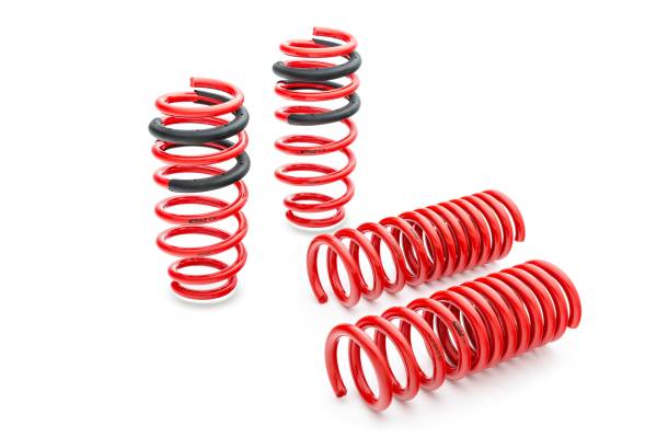 Eibach Springs - Eibach Springs SPORTLINE Kit (Set of 4 Springs) E20-20-031-01-22 - Image 1