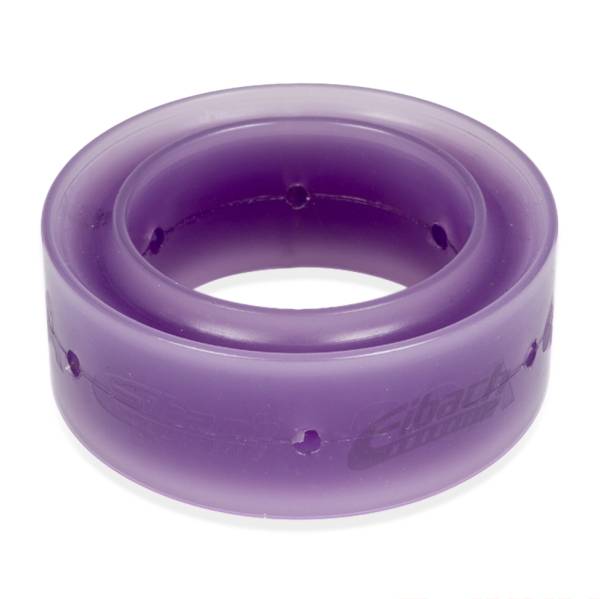 Eibach Springs - Eibach Springs EIBACH SPRING RUBBER - Durometer 60 (Purple) SR.250.0060 - Image 1