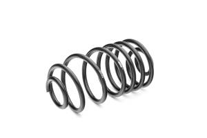 Eibach Springs - Eibach Springs PRO-KIT Performance Springs (Set of 4 Springs) 3856.140 - Image 2