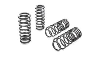 Eibach Springs - Eibach Springs PRO-KIT Performance Springs (Set of 4 Springs) 3870.140 - Image 1