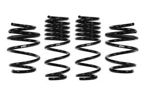 Eibach Springs PRO-KIT Performance Springs (Set of 4 Springs) E10-40-036-03-22