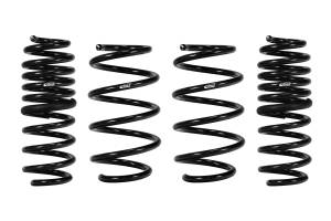 Eibach Springs PRO-KIT Performance Springs (Set of 4 Springs) E10-46-038-02-22