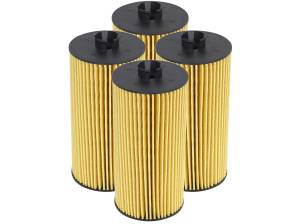 Oil System - Oil Filters - aFe Power - aFe Power Pro GUARD D2 Oil Filter (4 Pack) - 44-LF003-MB