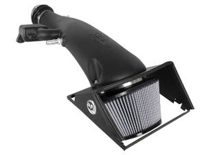 aFe Power Magnum FORCE Stage-2 Cold Air Intake System w/ Pro DRY S Filter Ford F-150 18-20 V6-3.3L - 54-13019D