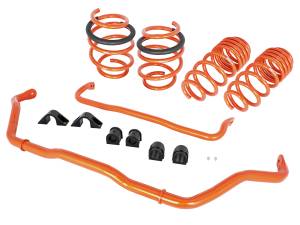 aFe CONTROL Stage-1 Suspension Package Honda Civic Type R 17-21 L4-2.0L (t) - 510-701001-N