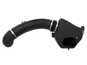 aFe Power - aFe Power QUANTUM Cold Air Intake System w/ Pro DRY S Filter Ford F-150 15-20 V8-5.0L - 53-10010D - Image 2
